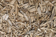 biomass boilers Woodhey